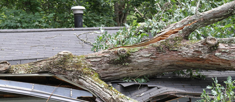 Roof Storm Damage, Plant City, Florida