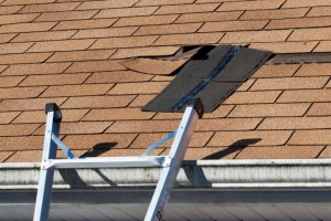 Re-Roofing Services in Haines City, Florida