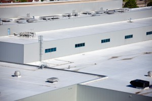 Single Ply Roof, Lakeland, FL