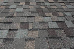 roofing options