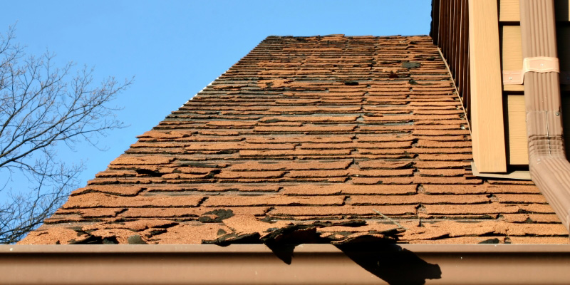 Shingle Roof in Winter Haven, Florida