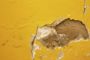 How to Keep Your Stucco in Great Condition