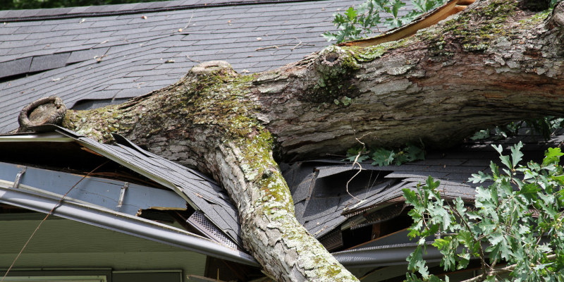 Roof Storm Damage in Dade City, Florida